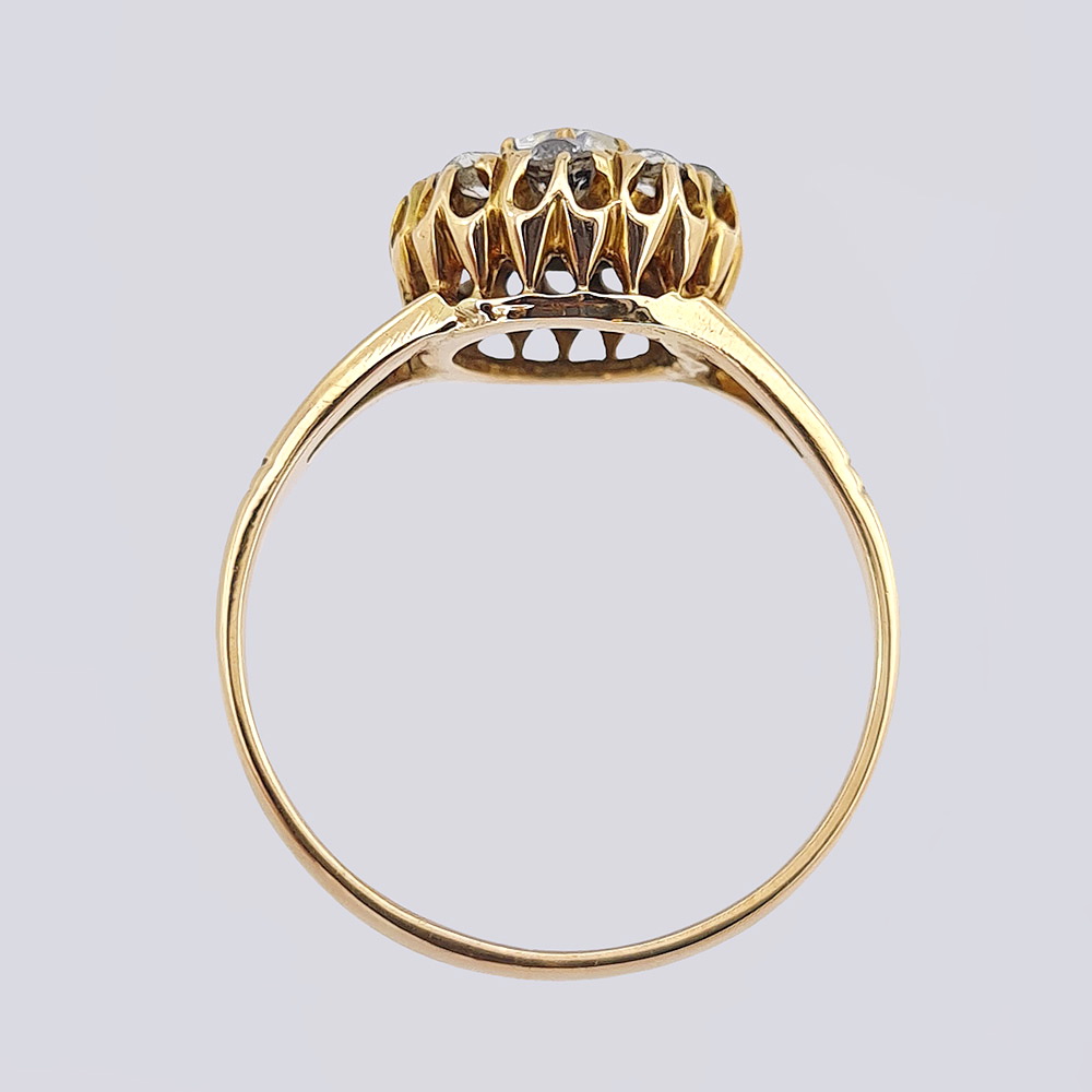 Золотое кольцо малина